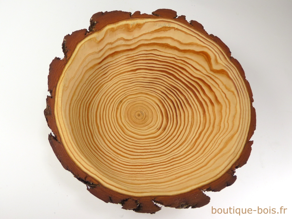 coupe à fruit en bois vue haut