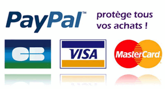 Paypal logo