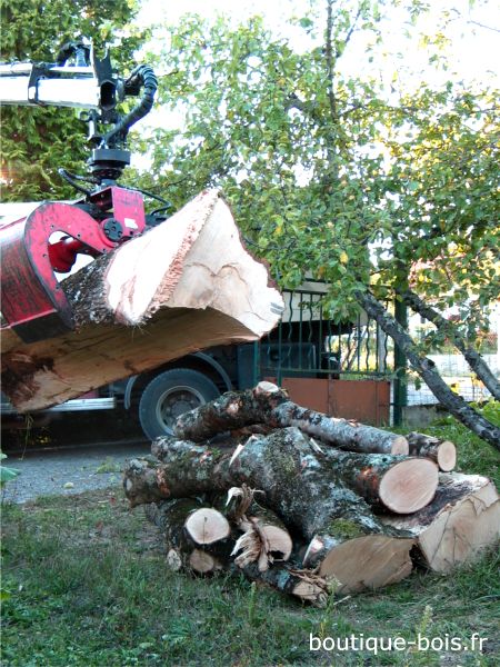 Déchargement de frêne pour le tournage sur bois